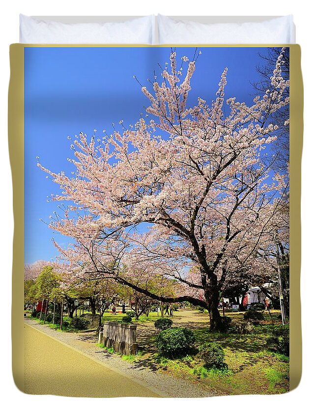 Tranquility Duvet Cover featuring the photograph Cherry Blossoms by Joyoyo Chen