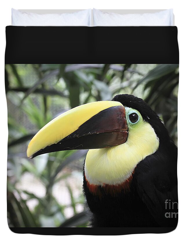 Animal Duvet Cover featuring the photograph Chestnut-mandibled Toucan by Teresa Zieba