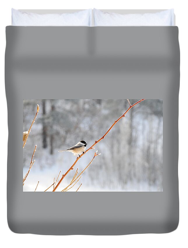 Chickadee Bird Winter Feathers Duvet Cover featuring the photograph Chickadee by Susie Rieple
