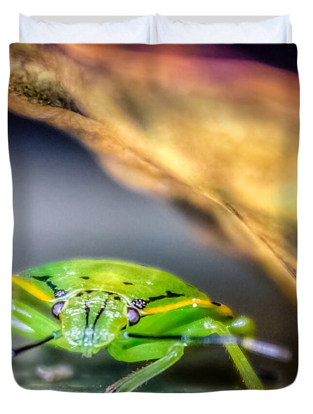 Animal Duvet Cover featuring the photograph Chinavia hilaris by Rob Sellers