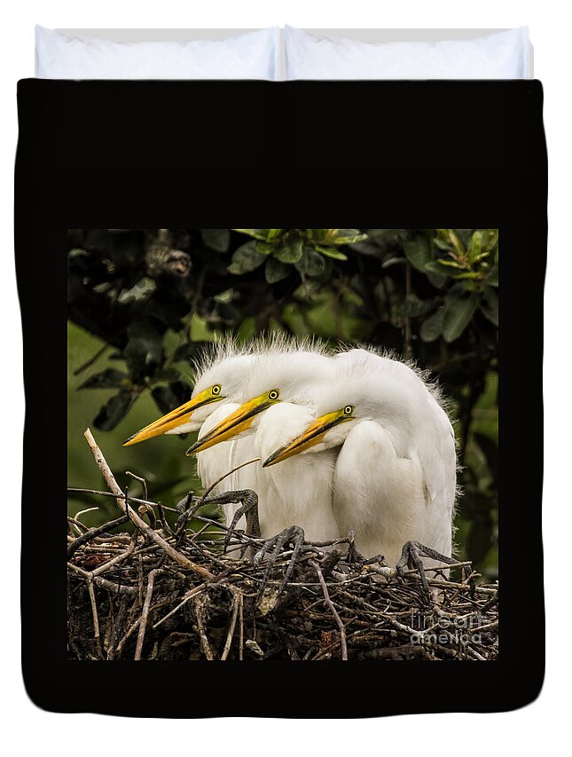 Egret Duvet Cover featuring the photograph Chow Line by Priscilla Burgers