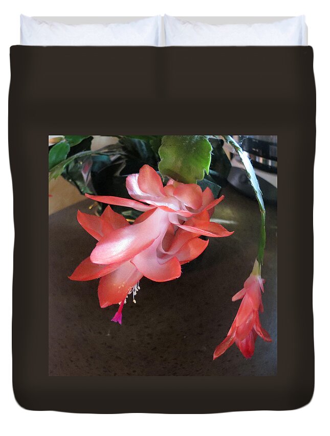 Nature Duvet Cover featuring the photograph Christmas Cactus Bloom by Fortunate Findings Shirley Dickerson
