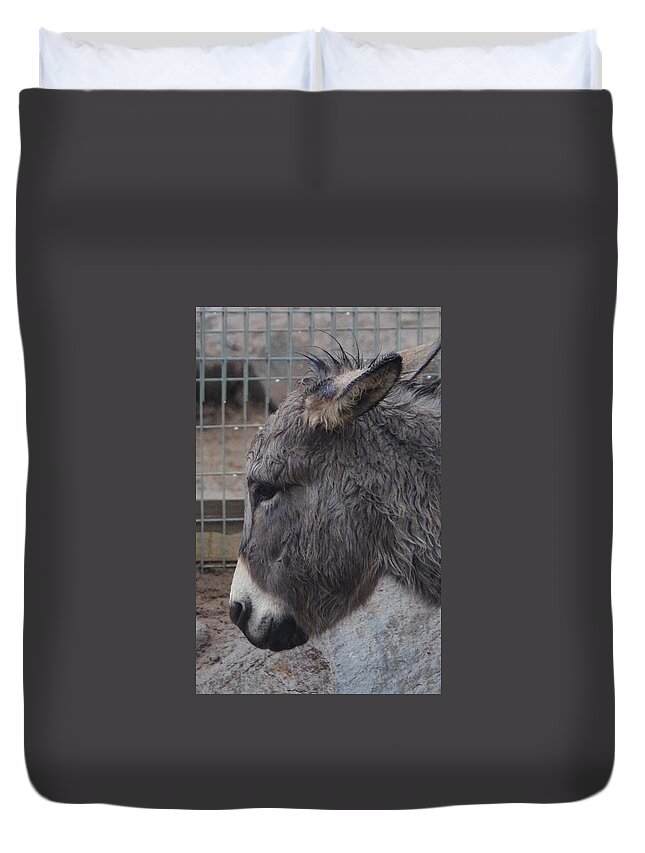 Christmas Duvet Cover featuring the photograph Christmas Donkey by Phyllis Spoor