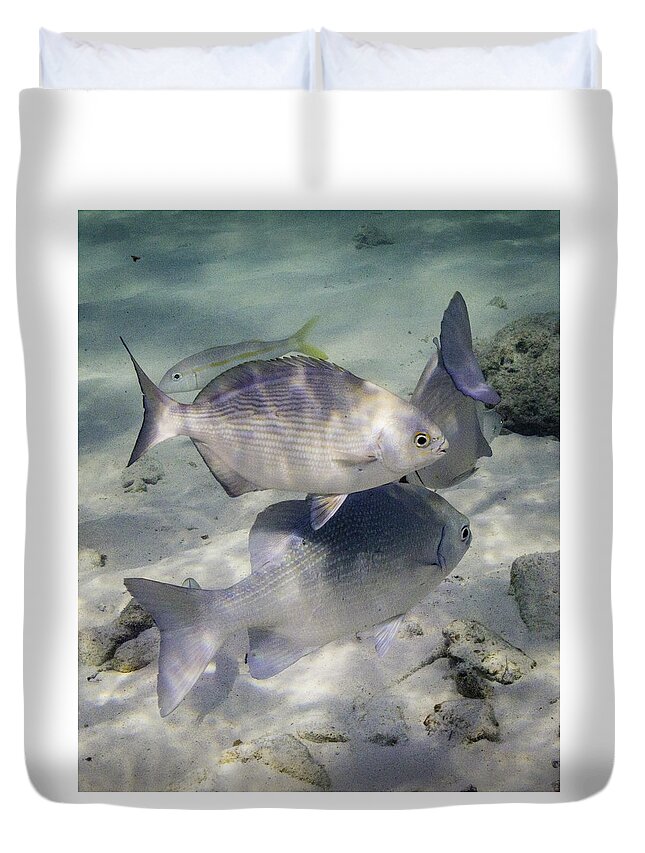 Fish Duvet Cover featuring the photograph Chubbin' Around by Lynne Browne