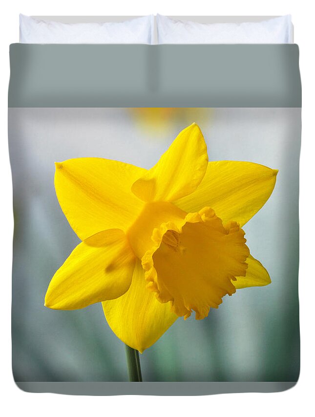 Daffodil Duvet Cover featuring the photograph Classic Spring Daffodil by Terence Davis