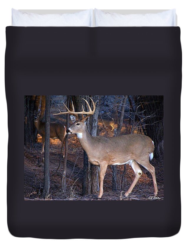 Deer Duvet Cover featuring the photograph Clear Shot by Bill Stephens