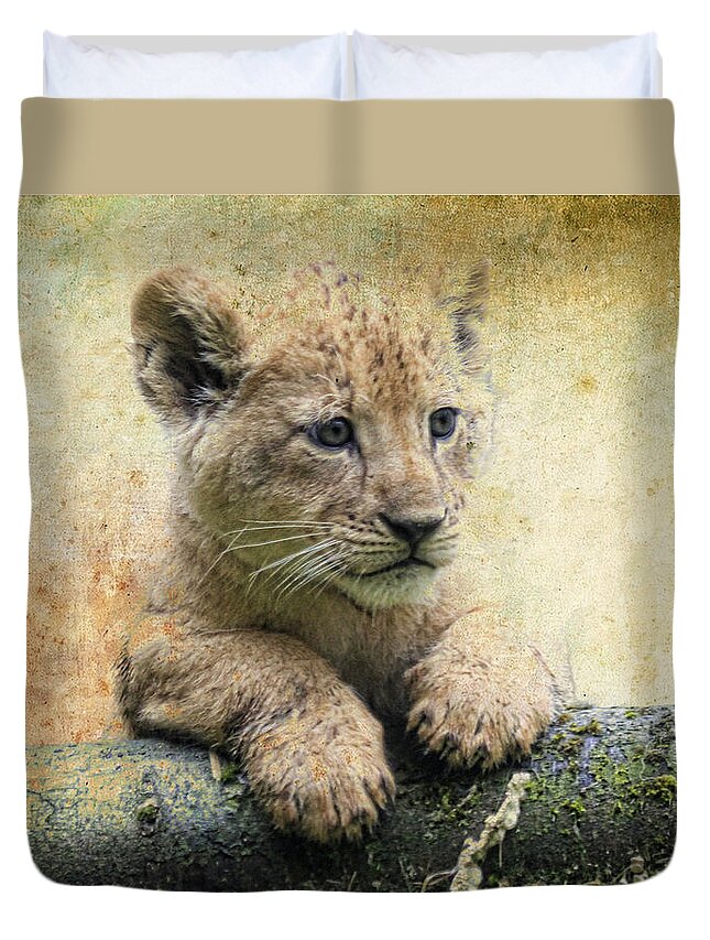 Lion Duvet Cover featuring the photograph Climbing Cub by Steve McKinzie