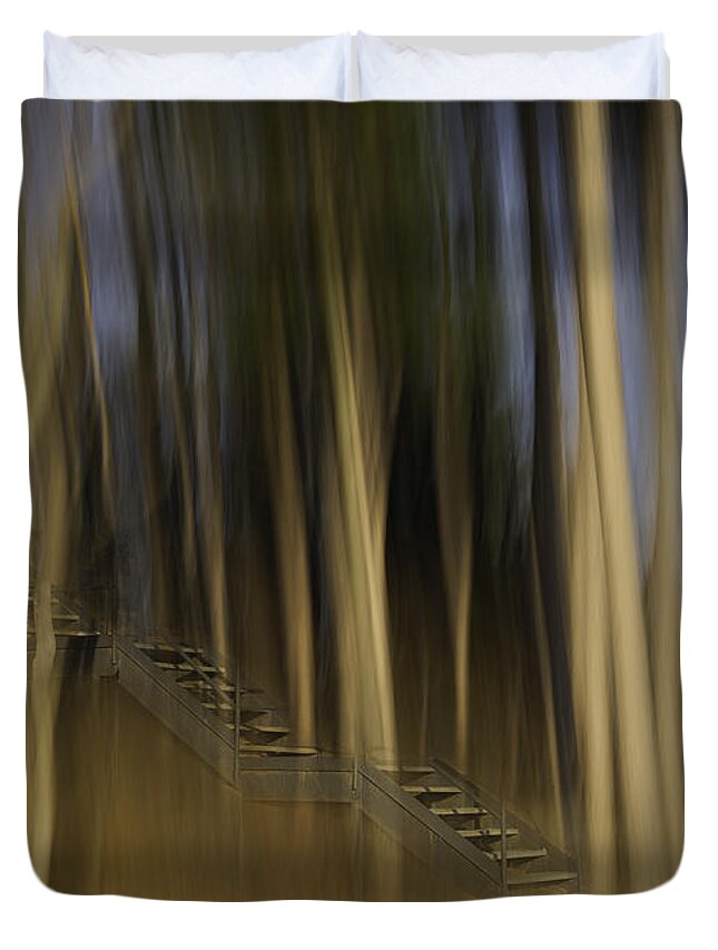 Abstract Duvet Cover featuring the photograph Climbing Stairs Into The Forest by Thomas Young