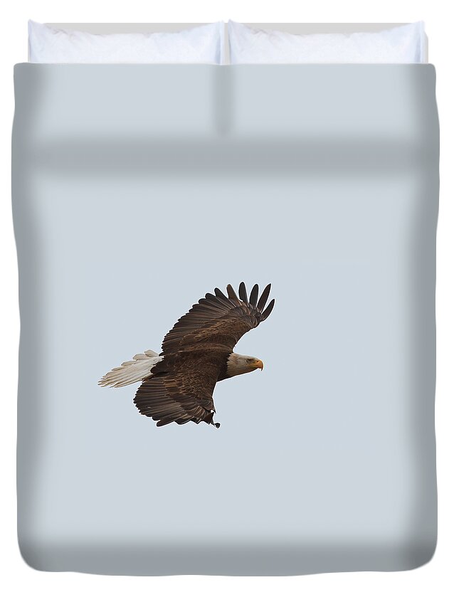 Bald Eagle Duvet Cover featuring the photograph Close Encounter of the Best kind by Beth Sargent