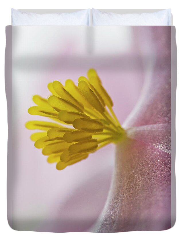 Close Up Duvet Cover featuring the photograph Close Up Of Begonia Blooming Astoria by Robert L. Potts