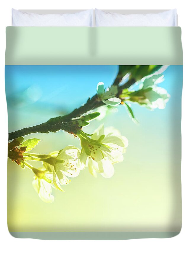 Scenics Duvet Cover featuring the photograph Close Up Of Cherry Blossom In Spring by Svega