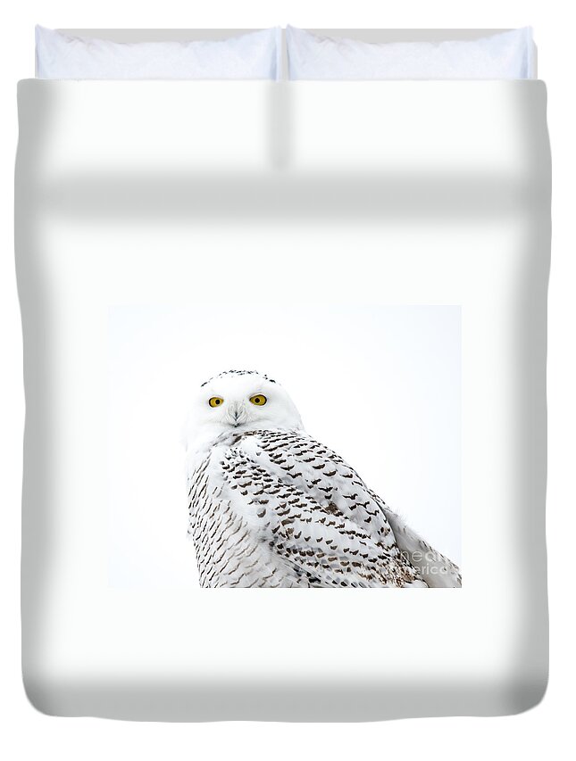 Field Duvet Cover featuring the photograph Close Up Snowy by Cheryl Baxter