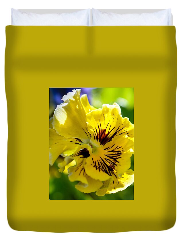 Pansy Duvet Cover featuring the photograph Close Yellow Pansy by Amy Porter