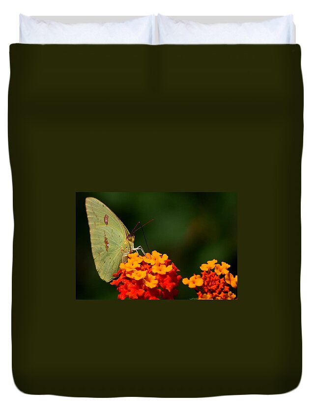 Butterfly Photography Duvet Cover featuring the photograph Closeness by Reid Callaway