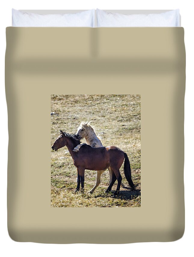 Pryor Mustangs Duvet Cover featuring the photograph Cloud and Innocentes - Pryor Mustangs by Belinda Greb
