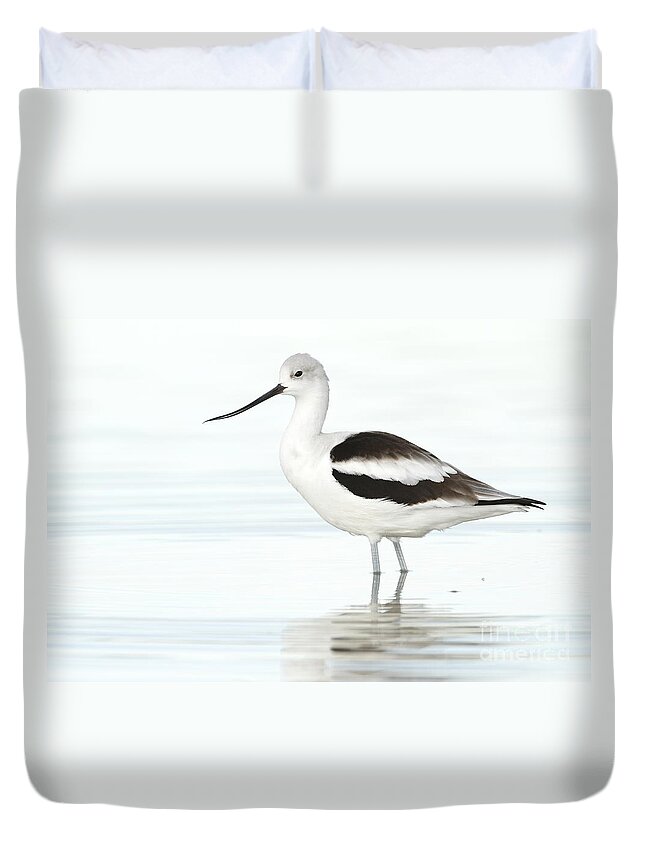 Avocet Duvet Cover featuring the photograph Cloudy day Avocet by Bryan Keil