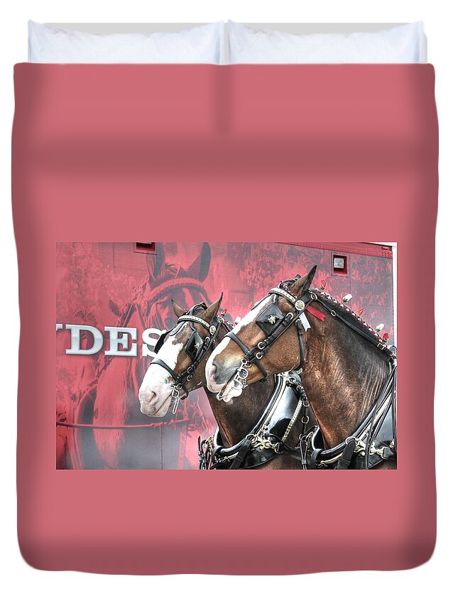 Clydesdale Duvet Cover featuring the photograph Clydesdales by Jane Linders