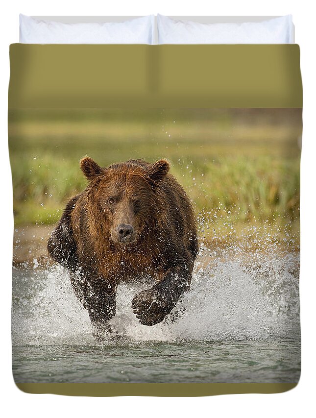 Fredriksson Duvet Cover featuring the photograph Coastal Grizzly Boar Fishing by Kent Fredriksson