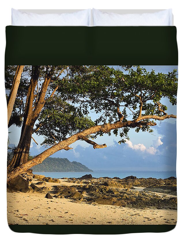 Feb0514 Duvet Cover featuring the photograph Coastal Rainforest Havelock Isl India by Konrad Wothe