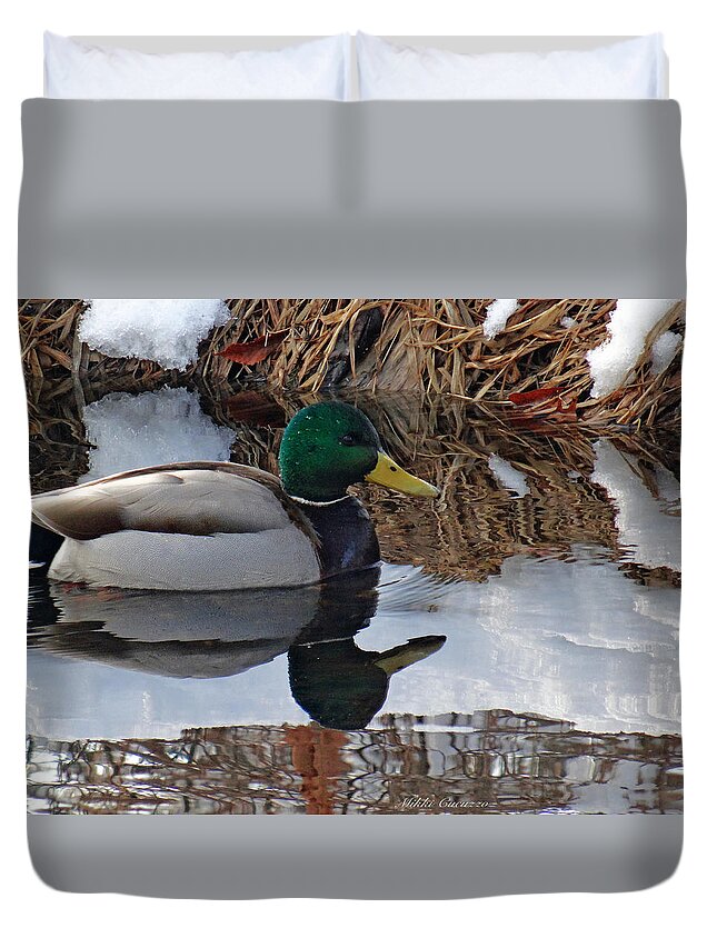 Winter Duvet Cover featuring the photograph Cold Duck by Mikki Cucuzzo