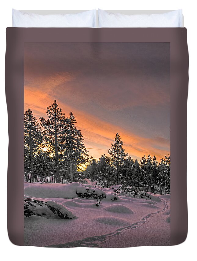 Landscape Duvet Cover featuring the photograph Cold Morning by Maria Coulson