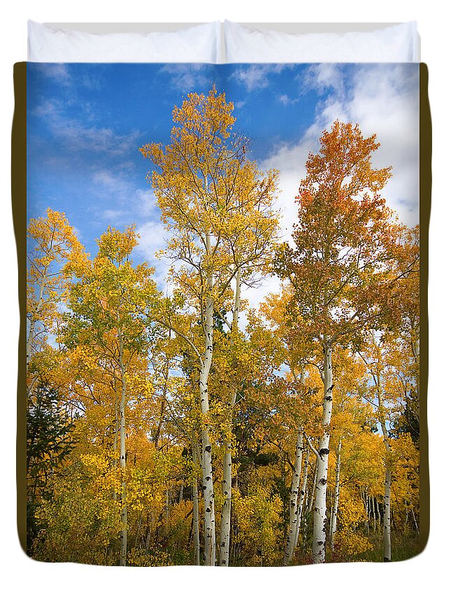 Colorful Duvet Cover featuring the photograph Colorado Autumn Aspens by James BO Insogna