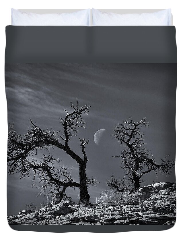 Trees Duvet Cover featuring the photograph Colorado National Monument Moonrise by Darren White
