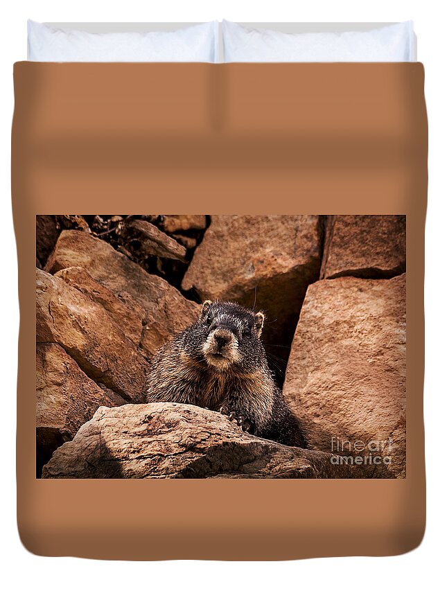 Colorado Duvet Cover featuring the photograph Colorado Rock Marmot by Janice Pariza