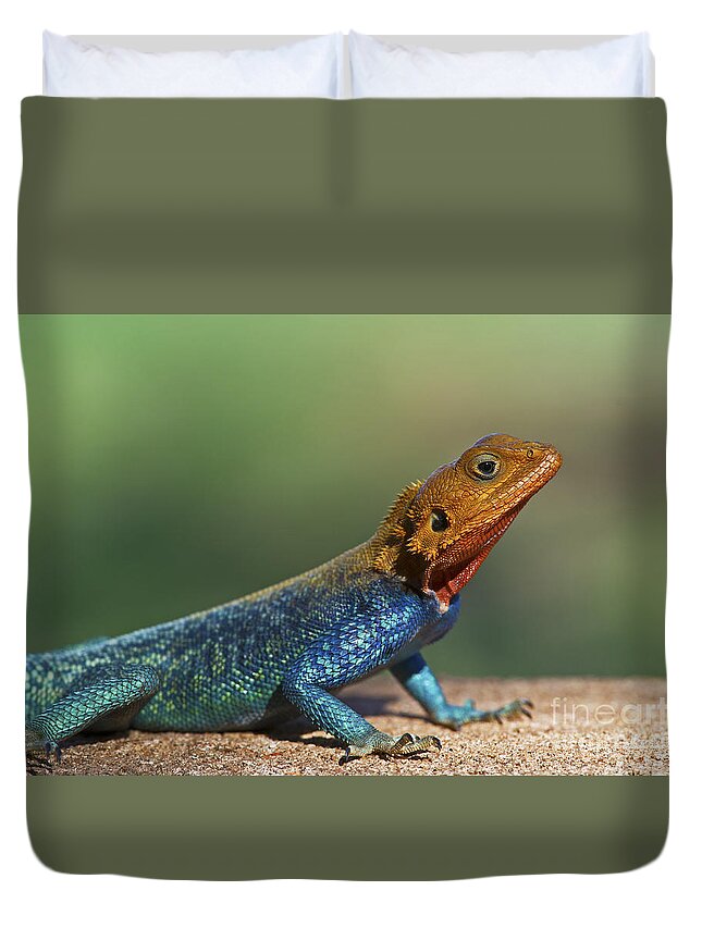 Festblues Duvet Cover featuring the photograph Colorful Awesomeness... by Nina Stavlund