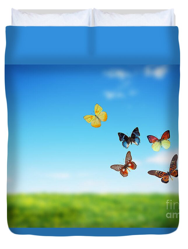 Butterfly Duvet Cover featuring the photograph Colorful buttefly spring field by Michal Bednarek