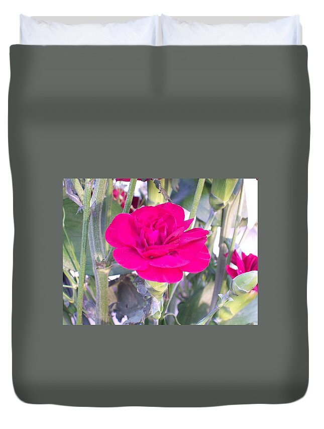 Dark Pink Carnation Flower Bloom. Duvet Cover featuring the photograph Colorful Carnation by Belinda Lee