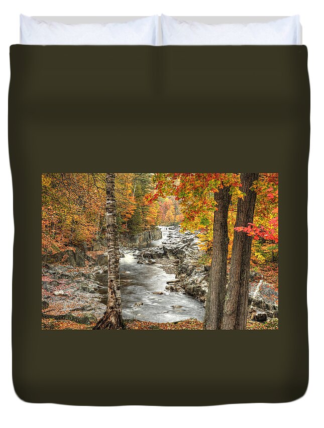 Photograph Duvet Cover featuring the photograph Colorful Creek by Richard Gehlbach