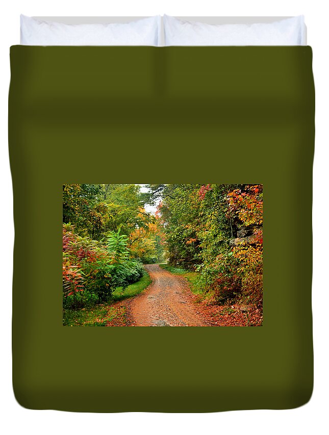 Fall Duvet Cover featuring the photograph Colorful Curves by Lisa Lambert-Shank