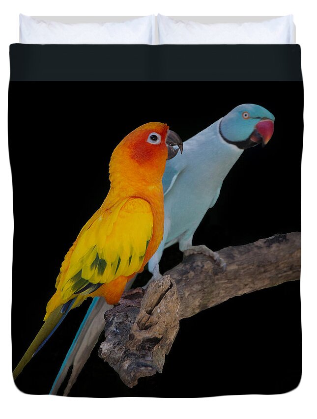 Bird Duvet Cover featuring the photograph Sun Conure and Ring Neck Parakeet by Richard Goldman