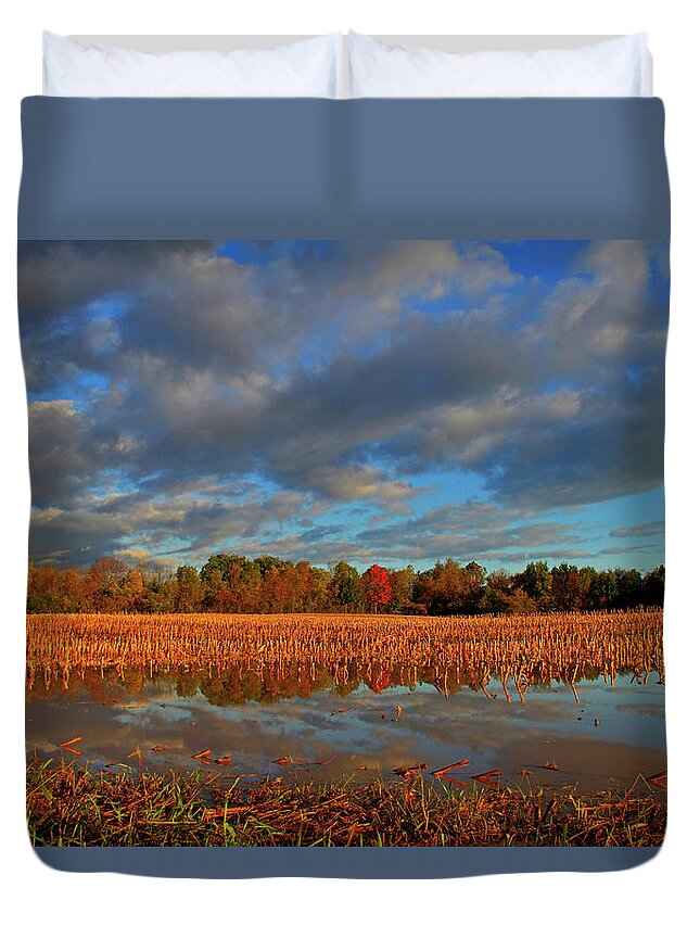 Tranquility Duvet Cover featuring the photograph Colorful Trees Reflected In Flooded by Matt Champlin