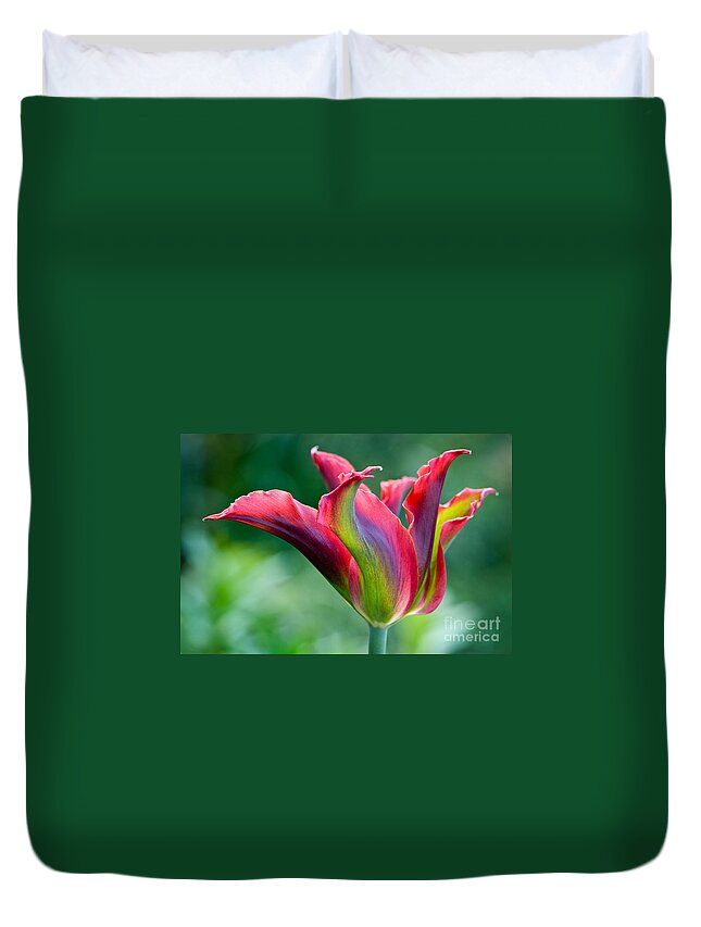 Flora Duvet Cover featuring the photograph Colorful tulip by Oscar Gutierrez