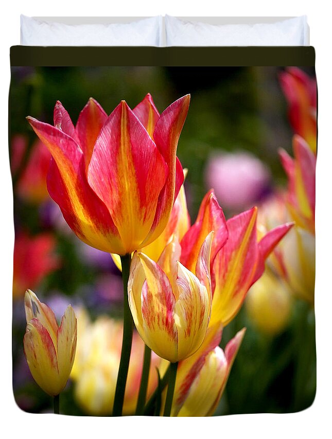 Tulips Duvet Cover featuring the photograph Colorful Tulips by Rona Black