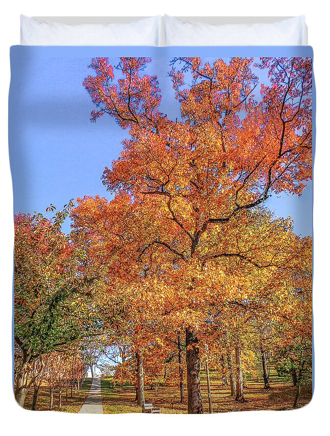 Autumn Leaves Duvet Cover featuring the photograph Colors of Fall by Charlie Cliques