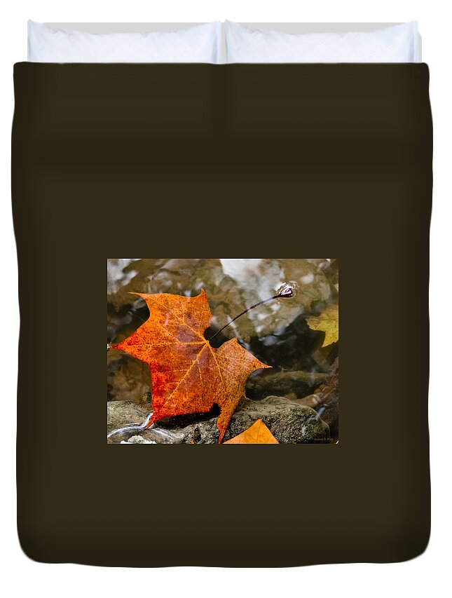Leaf Duvet Cover featuring the photograph Coming Up For Air by Andrea Platt