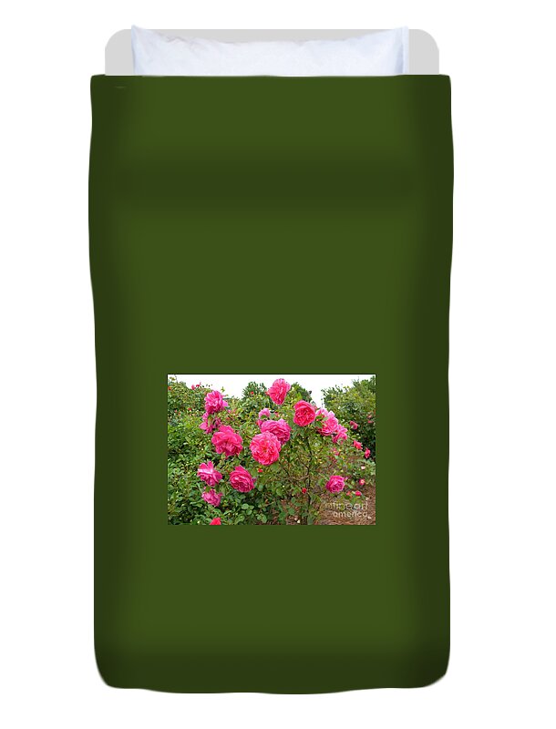 Flowers Duvet Cover featuring the photograph Coming Up Rosy by Matthew Seufer