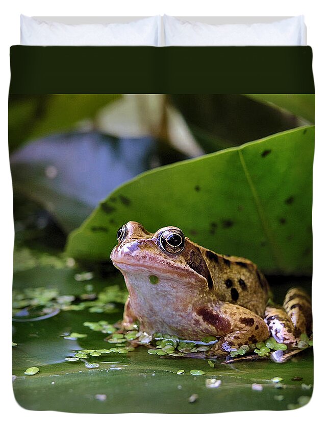 Frog Duvet Cover featuring the digital art Common frog by Ron Harpham