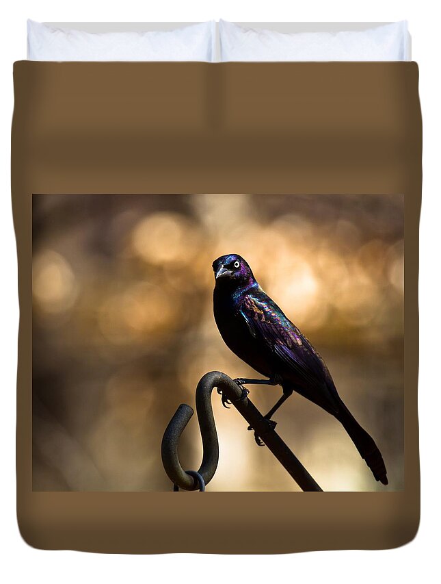 Common Grackle Duvet Cover featuring the photograph Common Grackle by Robert L Jackson