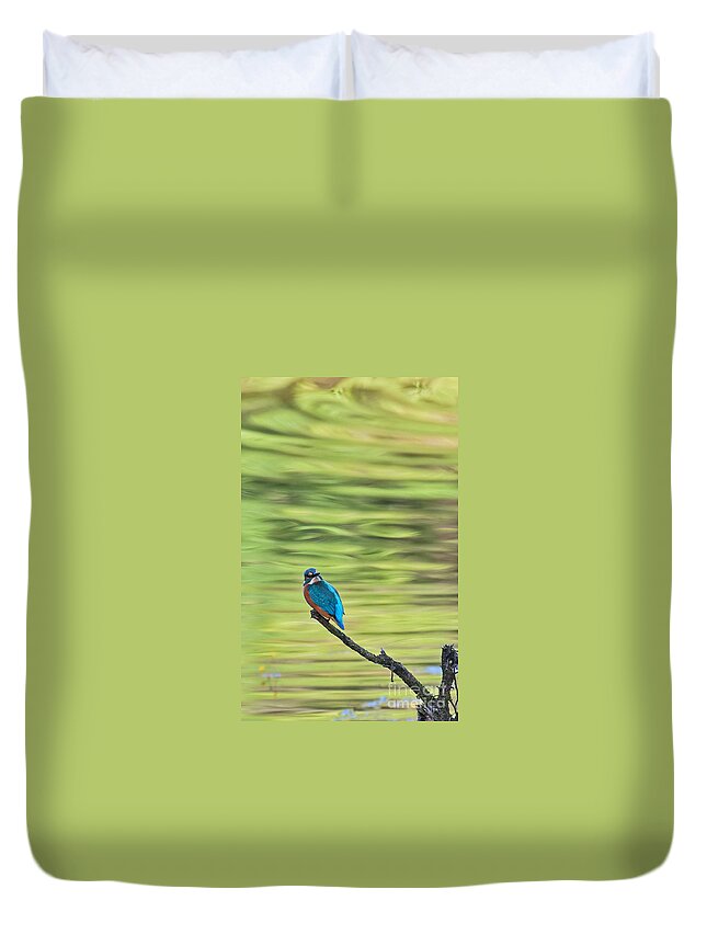 Bird Duvet Cover featuring the photograph Common Kingfisher by Jean-Luc Baron