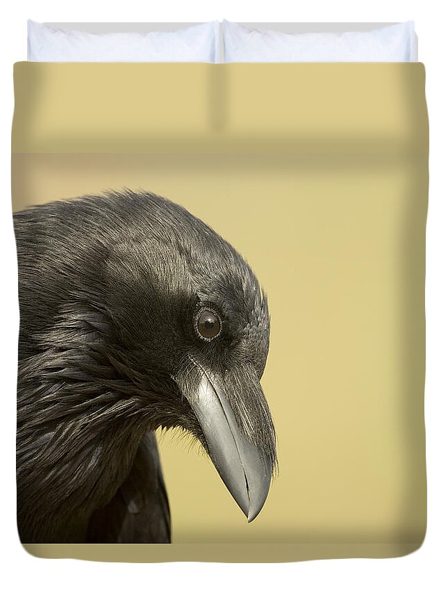 Feb0514 Duvet Cover featuring the photograph Common Raven Green Valley Arizona by Tom Vezo