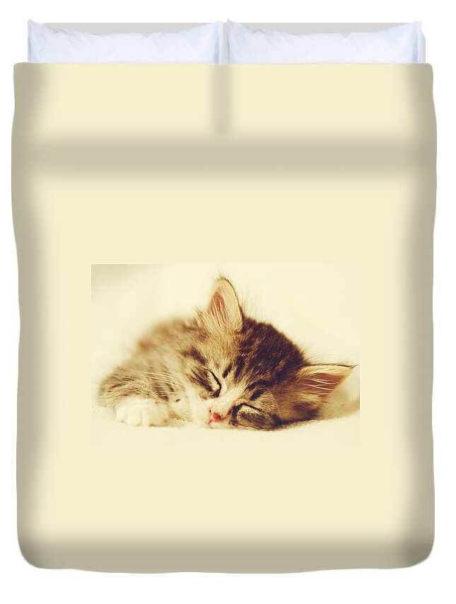 Kitten Duvet Cover featuring the photograph Content Kitty by Pam Holdsworth