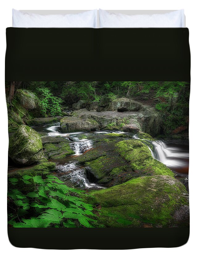 Forest Landscape Duvet Cover featuring the photograph Cool Mountain Stream by Bill Wakeley