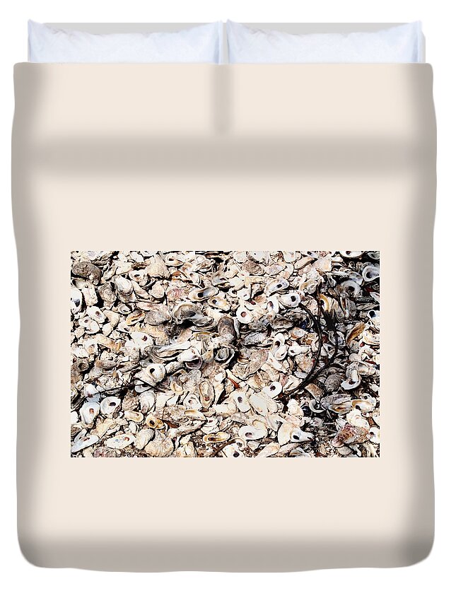 Shells Duvet Cover featuring the photograph Coquina by Joseph Desiderio