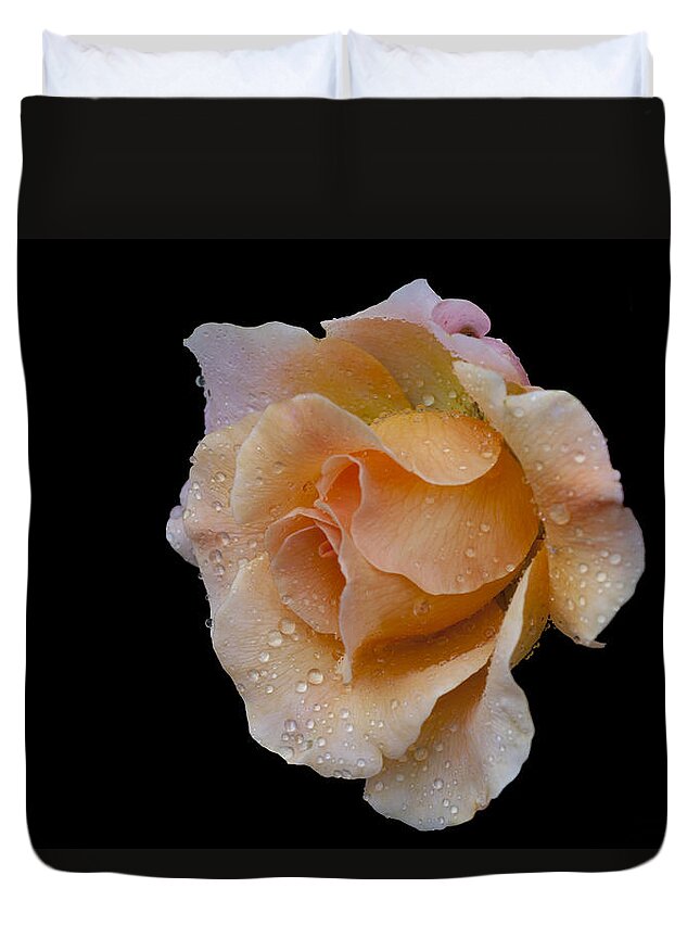 Rose Duvet Cover featuring the photograph Coral Cutie by Doug Norkum