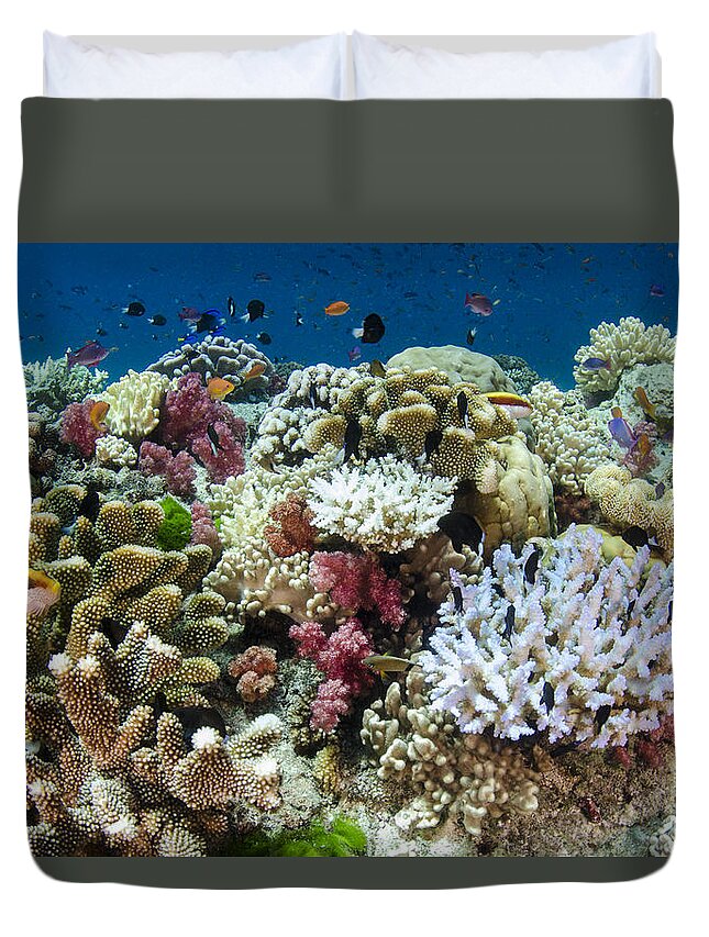 Pete Oxford Duvet Cover featuring the photograph Coral Reef Diversity Fiji by Pete Oxford