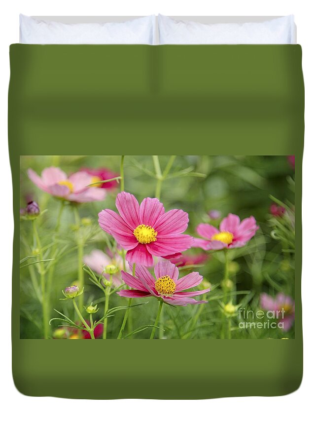 Maine Duvet Cover featuring the photograph Cosmo by Karin Pinkham
